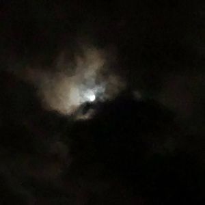 Meet your Posher, Vee